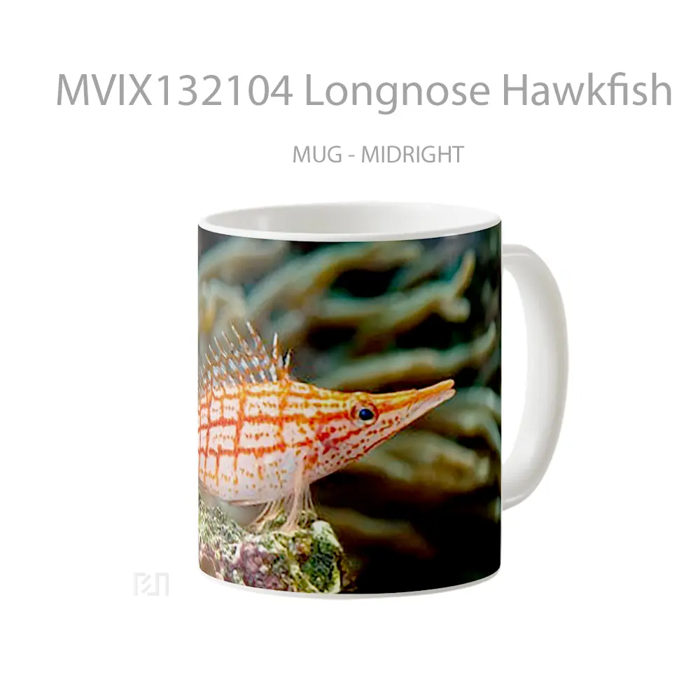 Mug Longnose Hawkfish Gelas Keramik Unik - All-side / Desain