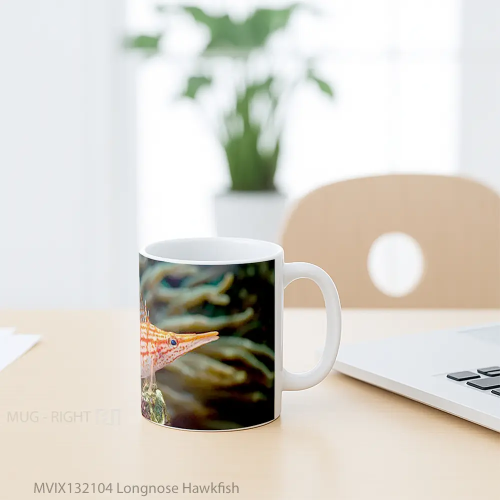Mug Longnose Hawkfish Gelas Keramik Unik - All-side / Desain