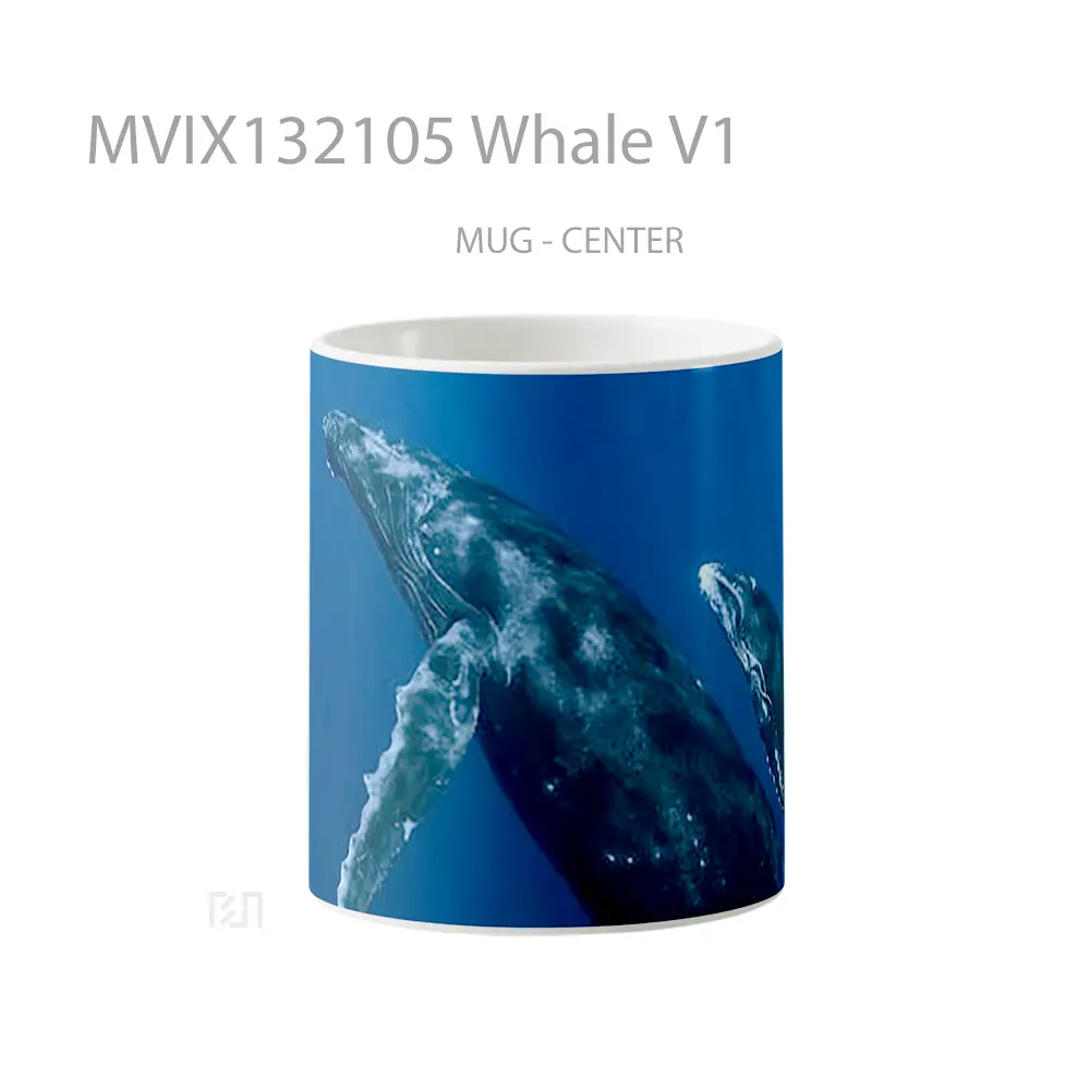 Mug Whale V1 Gelas Hewan Lucu