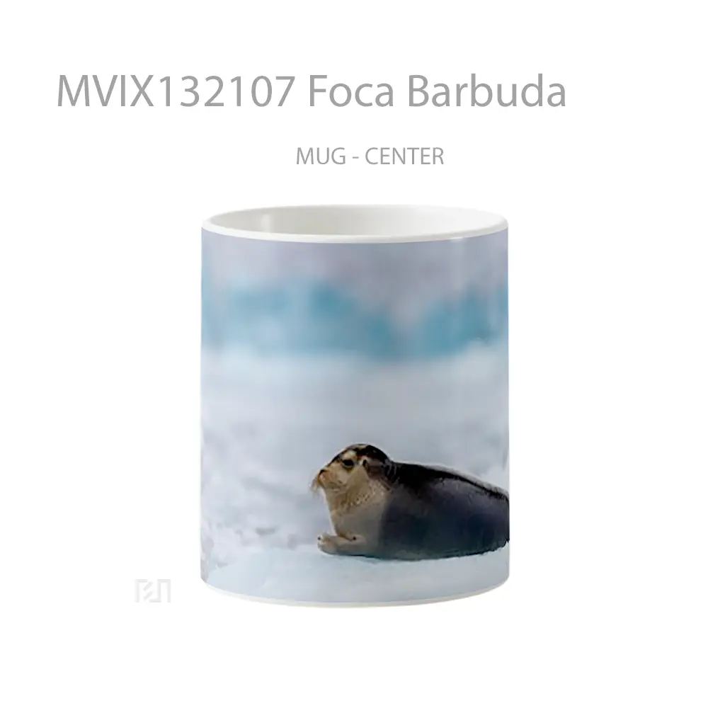 Mug Foca Barbuda Gelas Keramik Unik