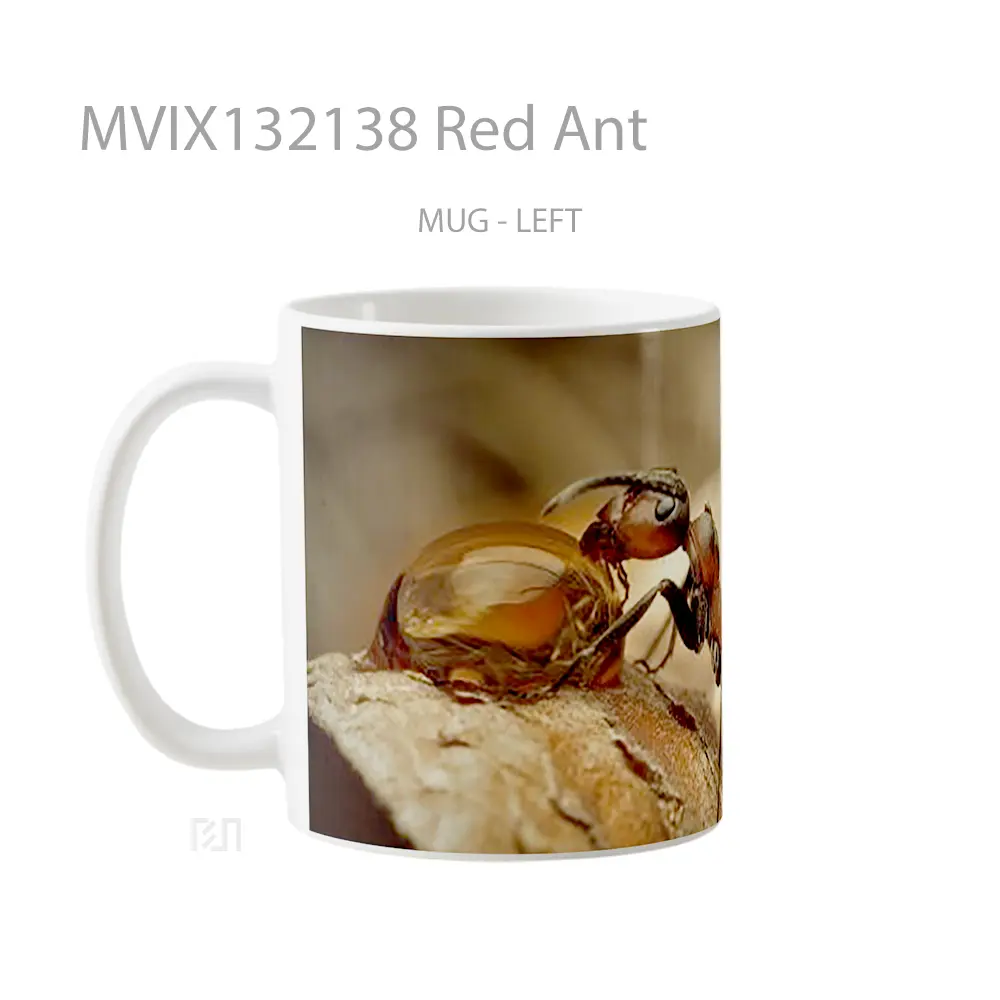 Mug Red Ant Gelas Keramik Unik - All-side / Desain