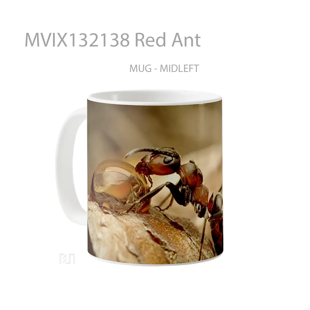 Mug Red Ant Gelas Keramik Unik - All-side / Desain
