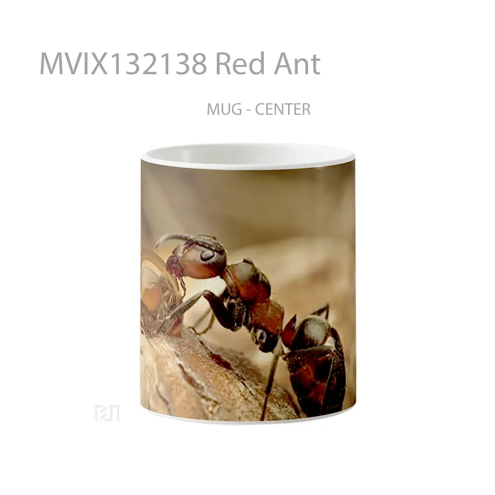 Mug Red Ant Gelas Keramik Unik
