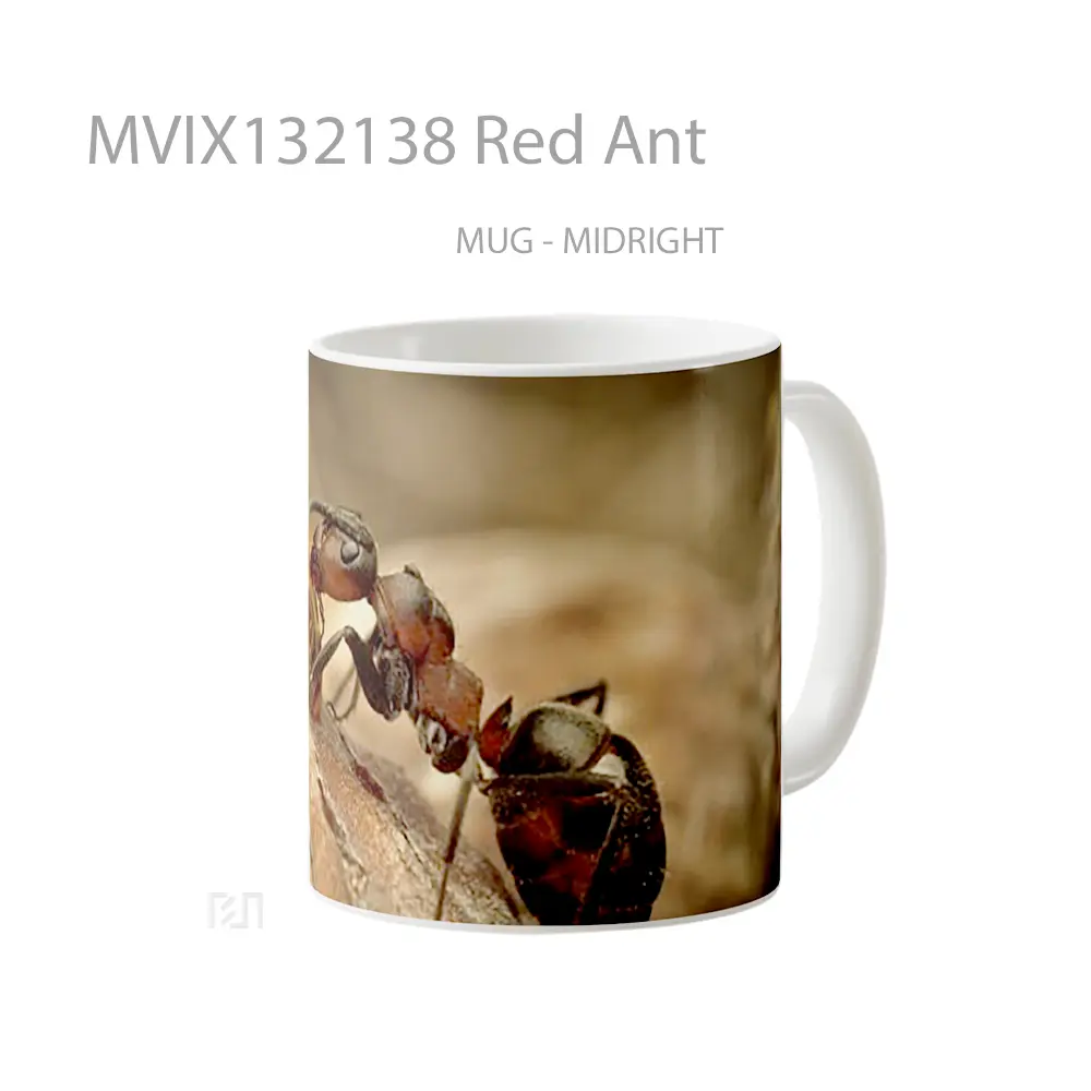 Mug Red Ant Gelas Keramik Unik - All-side / Desain
