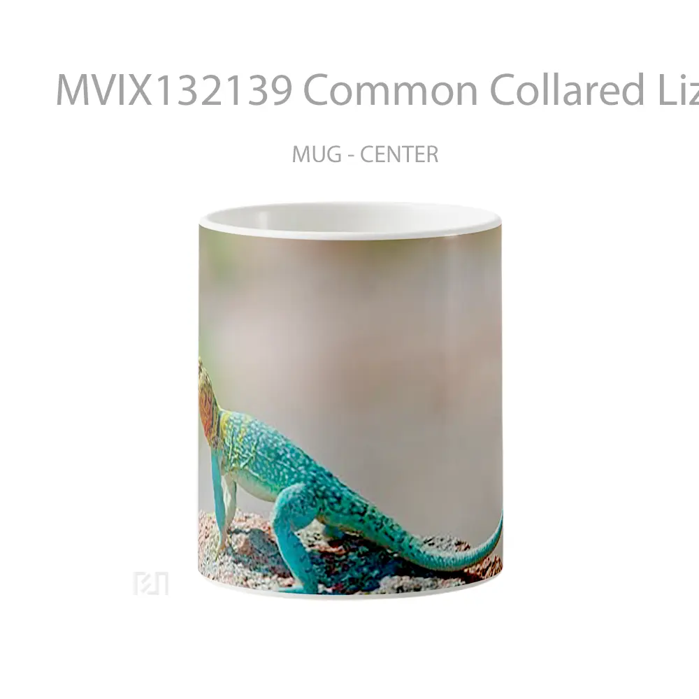 Mug Common Collared Lizard Gelas Keramik Unik