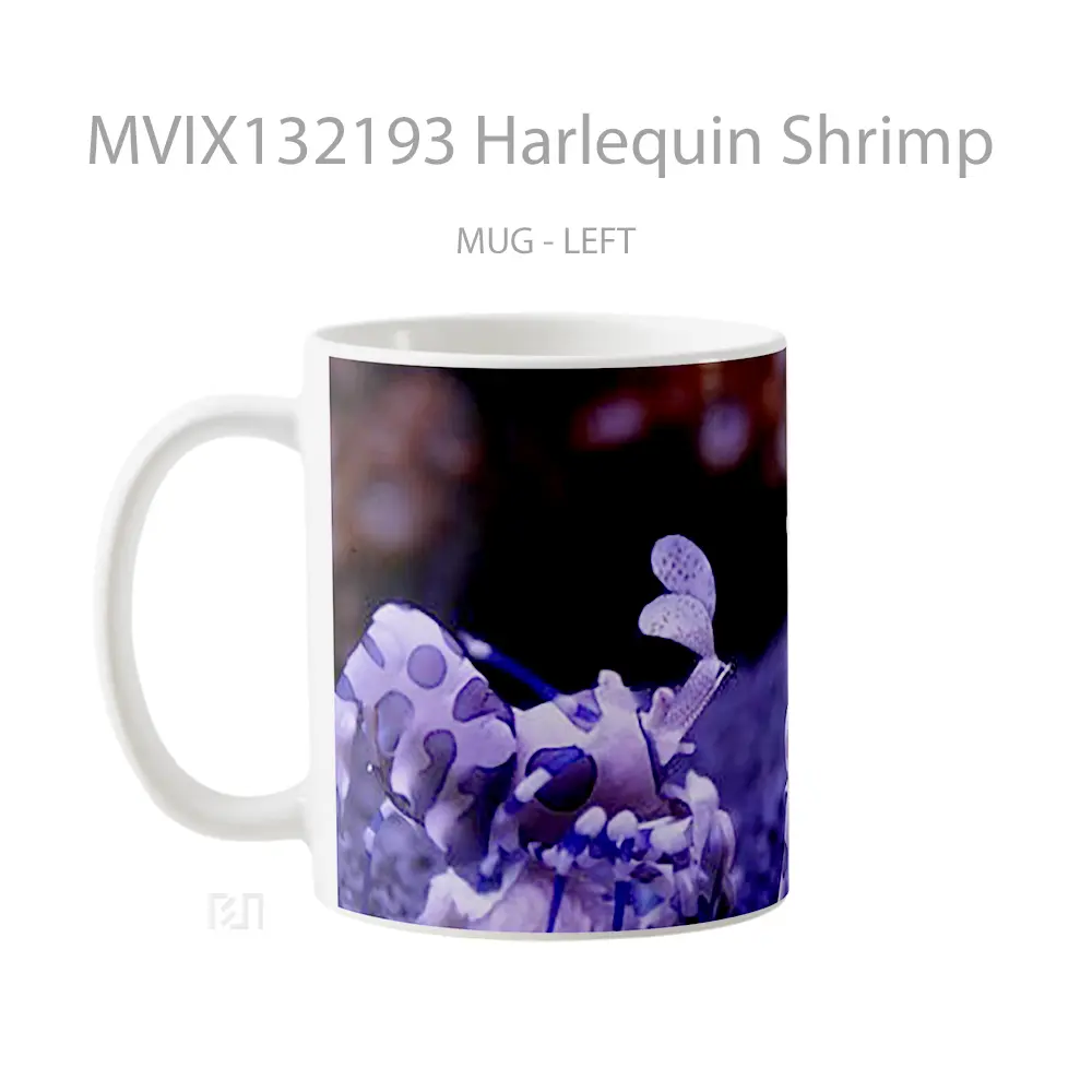 Mug Harlequin Shrimp Gelas Keramik Unik - All-side / Desain