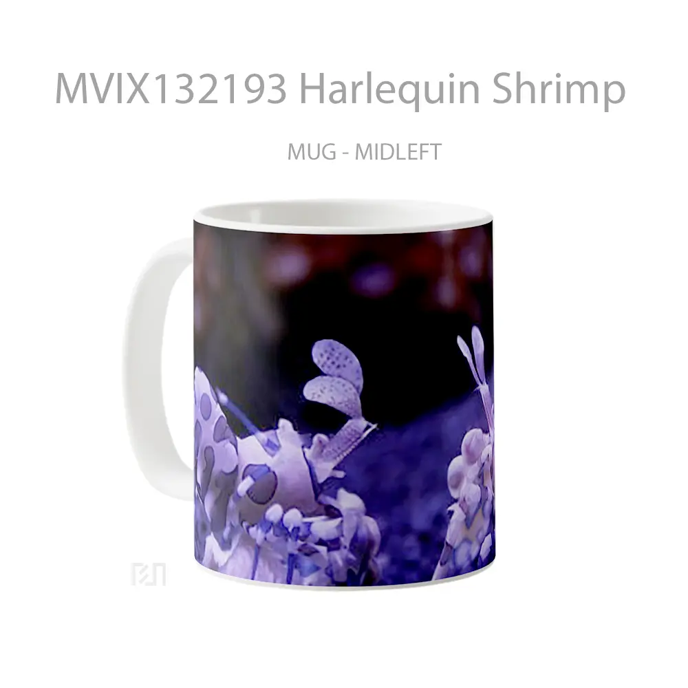 Mug Harlequin Shrimp Gelas Keramik Unik - All-side / Desain