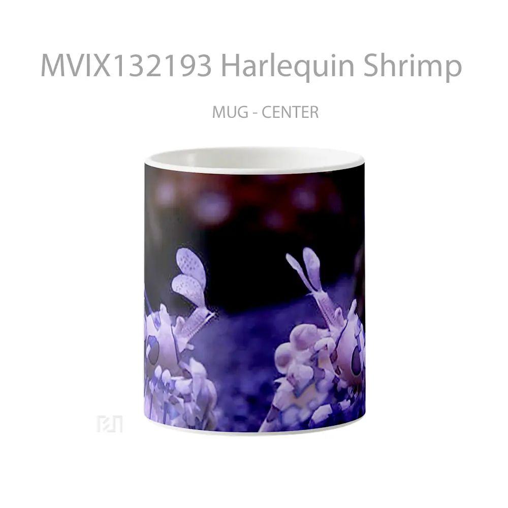 Mug Harlequin Shrimp Gelas Keramik Unik