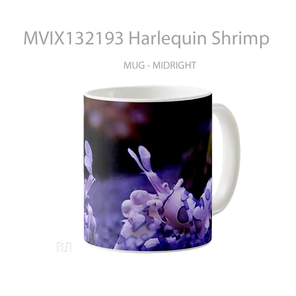 Mug Harlequin Shrimp Gelas Keramik Unik - All-side / Desain