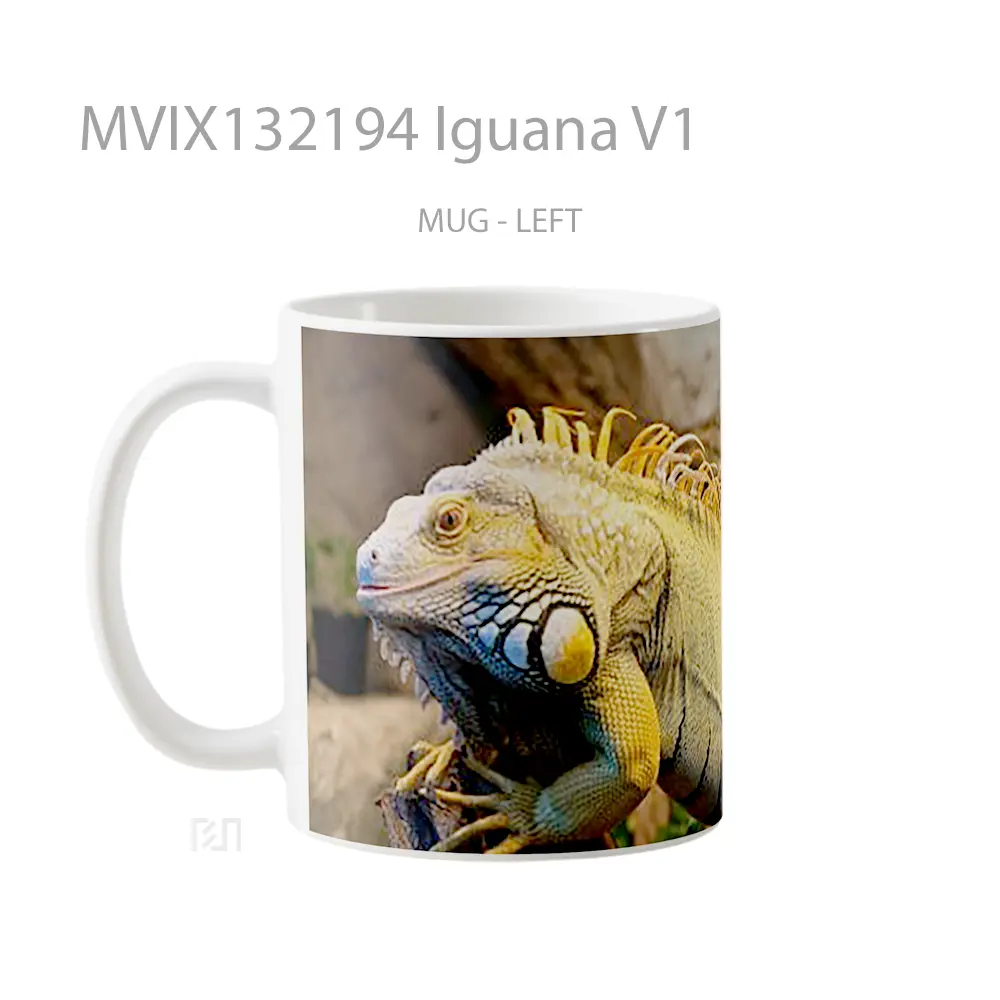 Mug Iguana V1 Gelas Keramik Unik - All-side / Desain