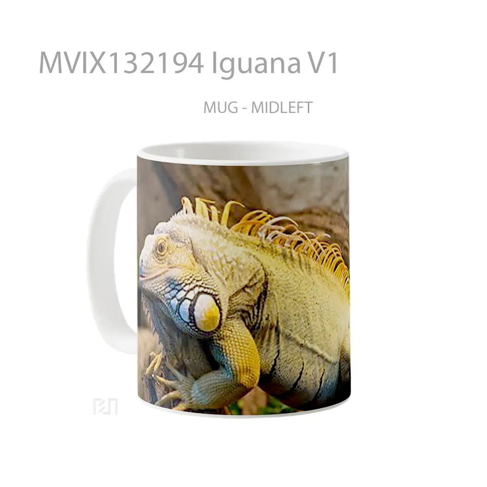 Mug Iguana V1 Gelas Keramik Unik - All-side / Desain