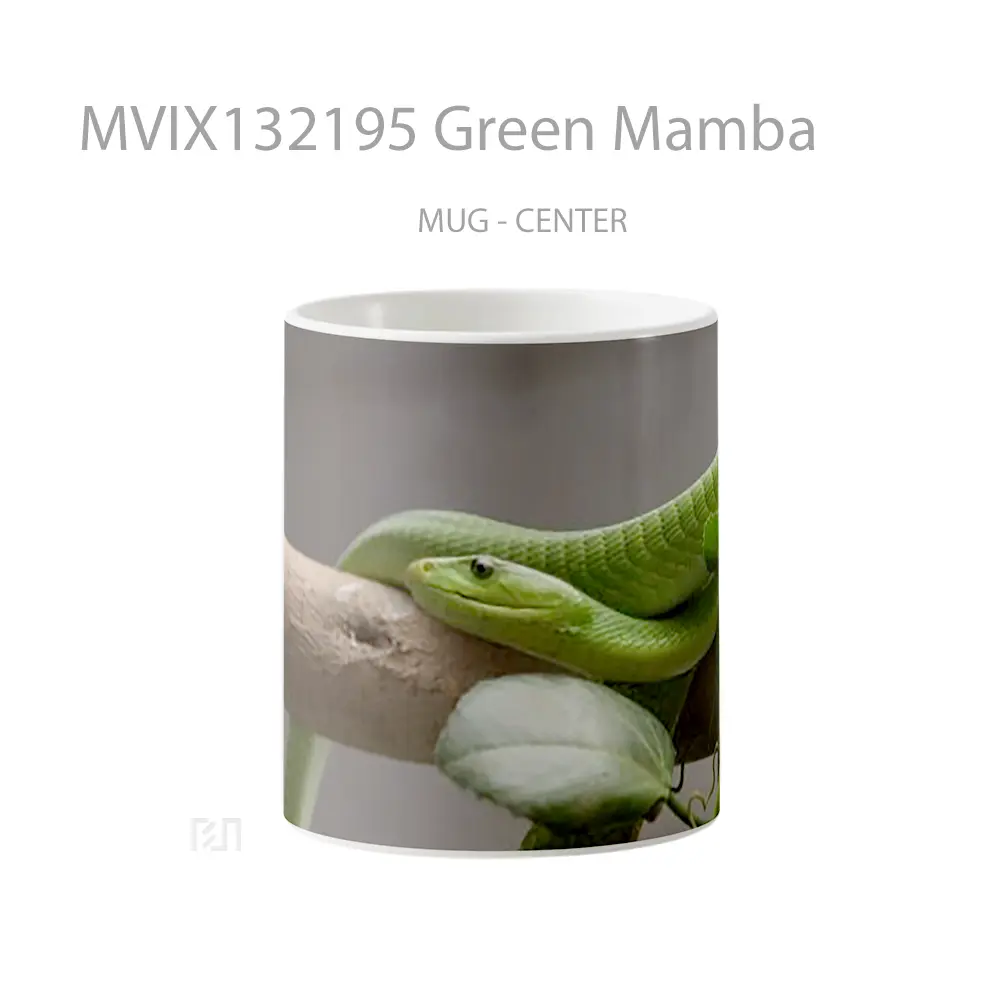Mug Green Mamba Gelas Keramik Unik