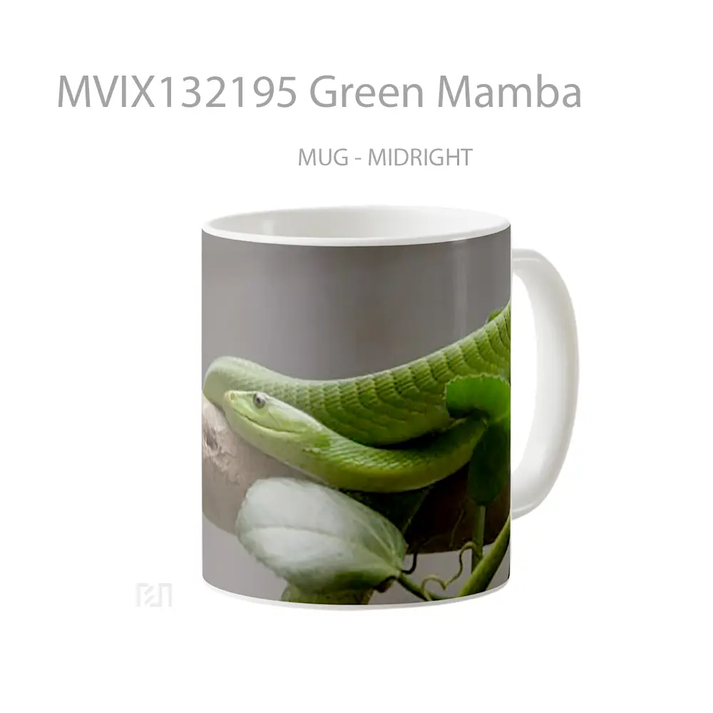Mug Green Mamba Gelas Keramik Unik - All-side / Desain
