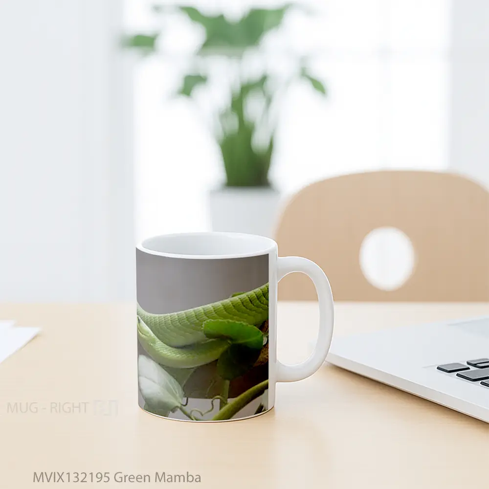 Mug Green Mamba Gelas Keramik Unik - All-side / Desain
