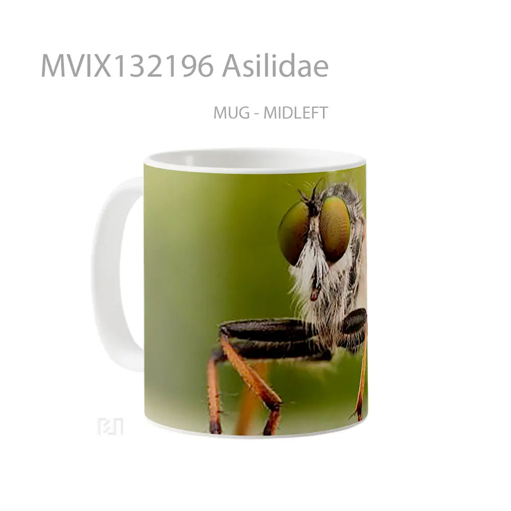 Mug Asilidae Gelas Keramik Unik - All-side / Desain
