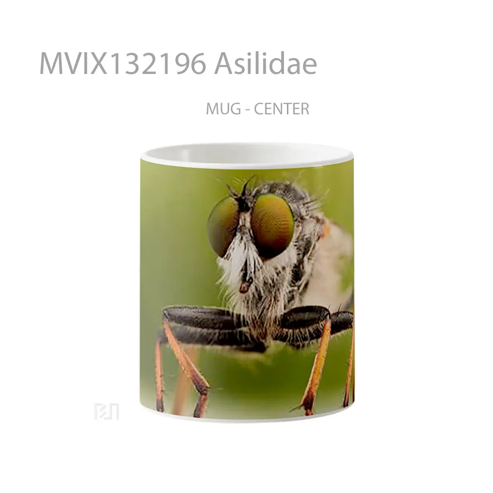 Mug Asilidae Gelas Keramik Unik