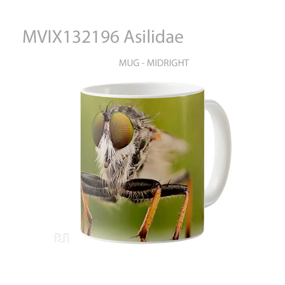 Mug Asilidae Gelas Keramik Unik - All-side / Desain