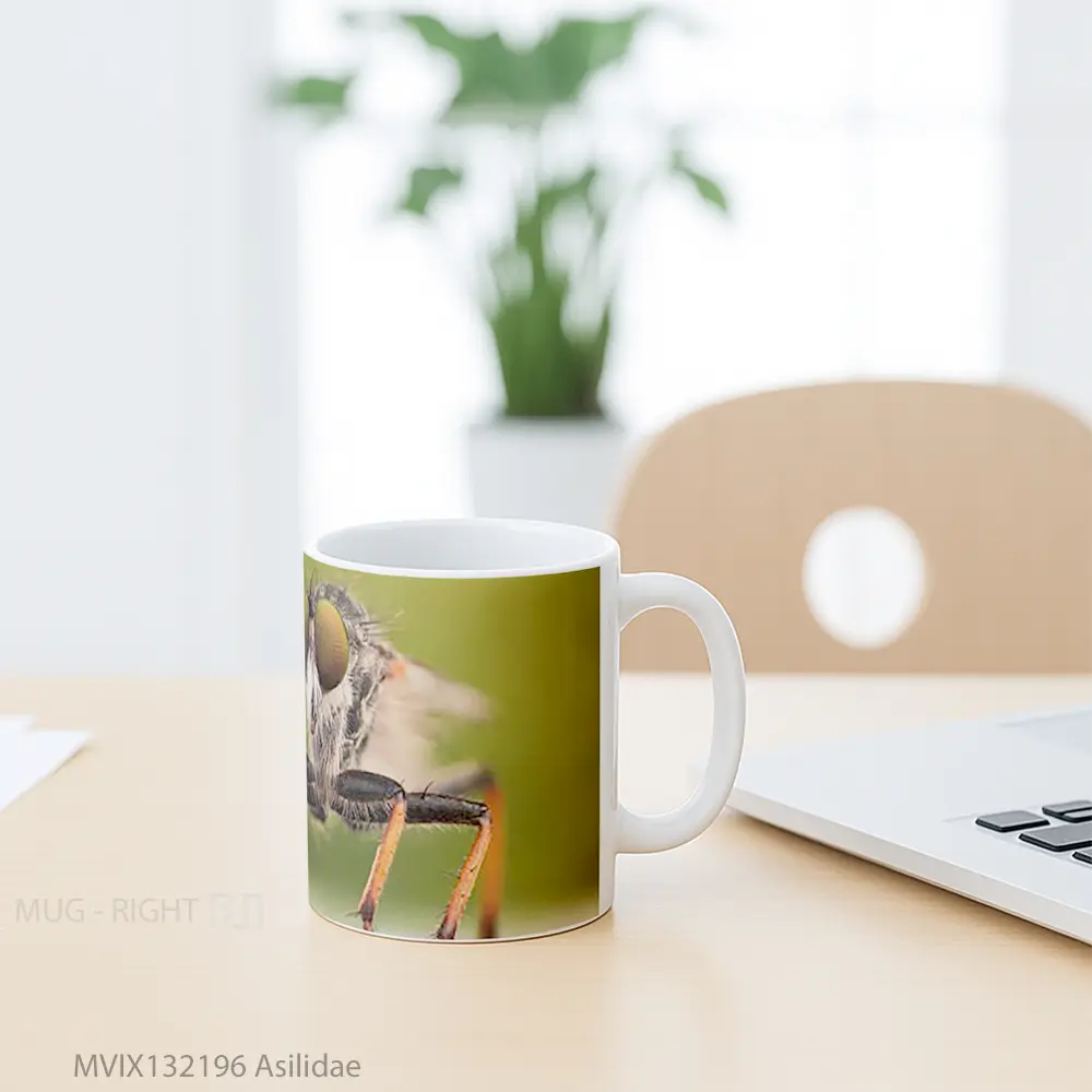 Mug Asilidae Gelas Keramik Unik - All-side / Desain