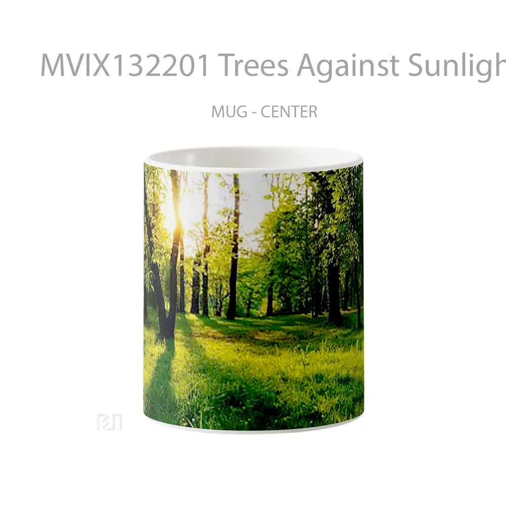 Mug Trees Against Sunlight Gelas Pemandangan Alam