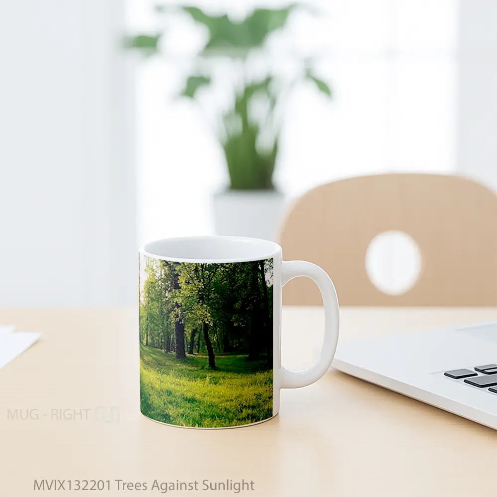 Mug Trees Against Sunlight Gelas Pemandangan Alam - All-side / Desain