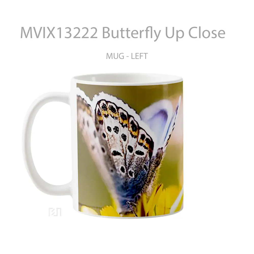 Mug Butterfly Up Close Gelas Hewan Lucu - All-side / Desain