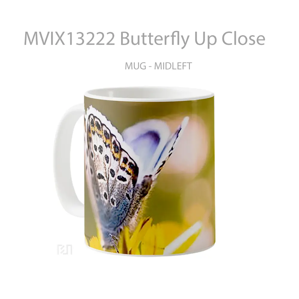 Mug Butterfly Up Close Gelas Hewan Lucu - All-side / Desain