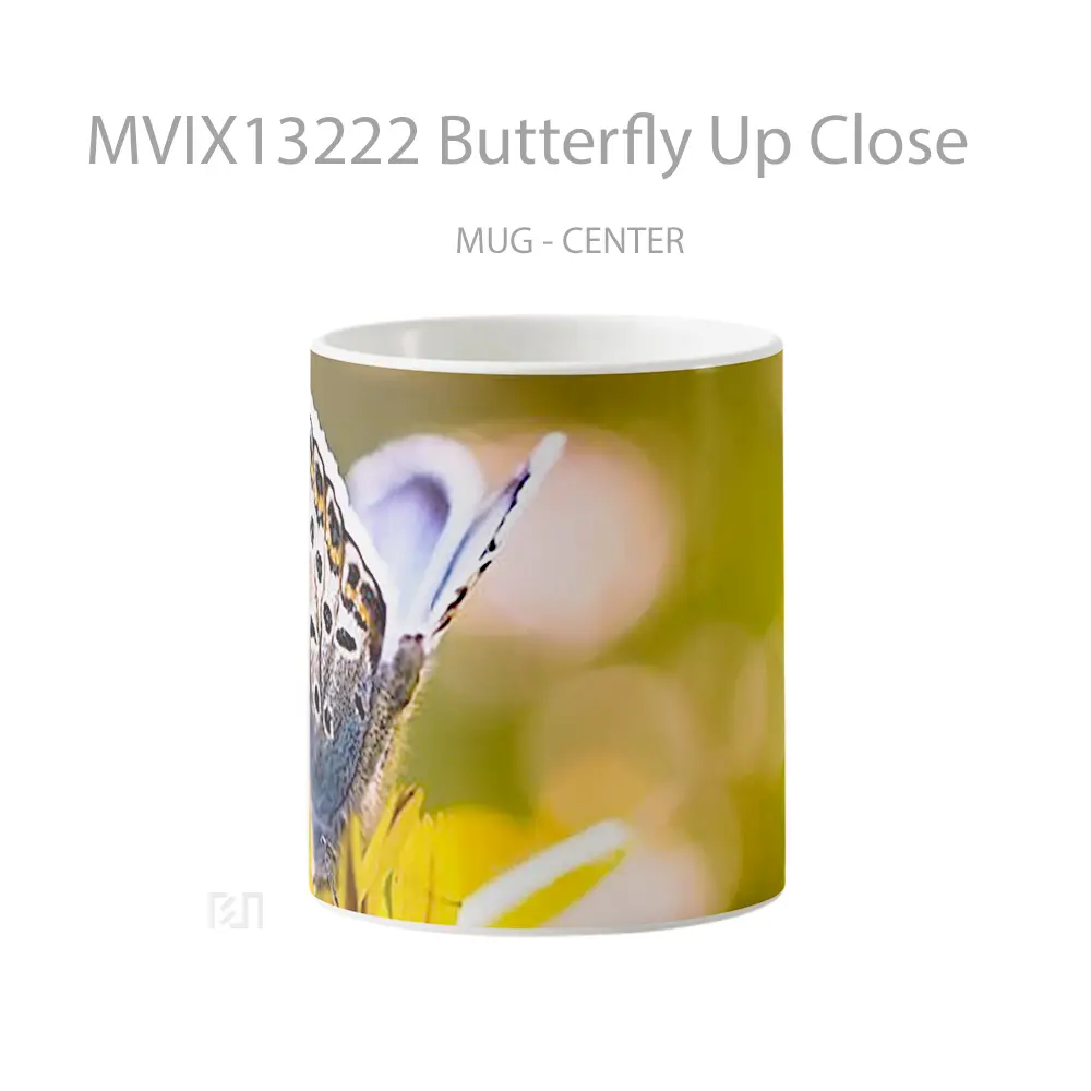 Mug Butterfly Up Close Gelas Hewan Lucu