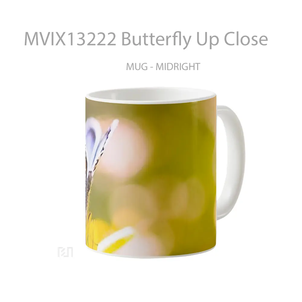 Mug Butterfly Up Close Gelas Hewan Lucu - All-side / Desain