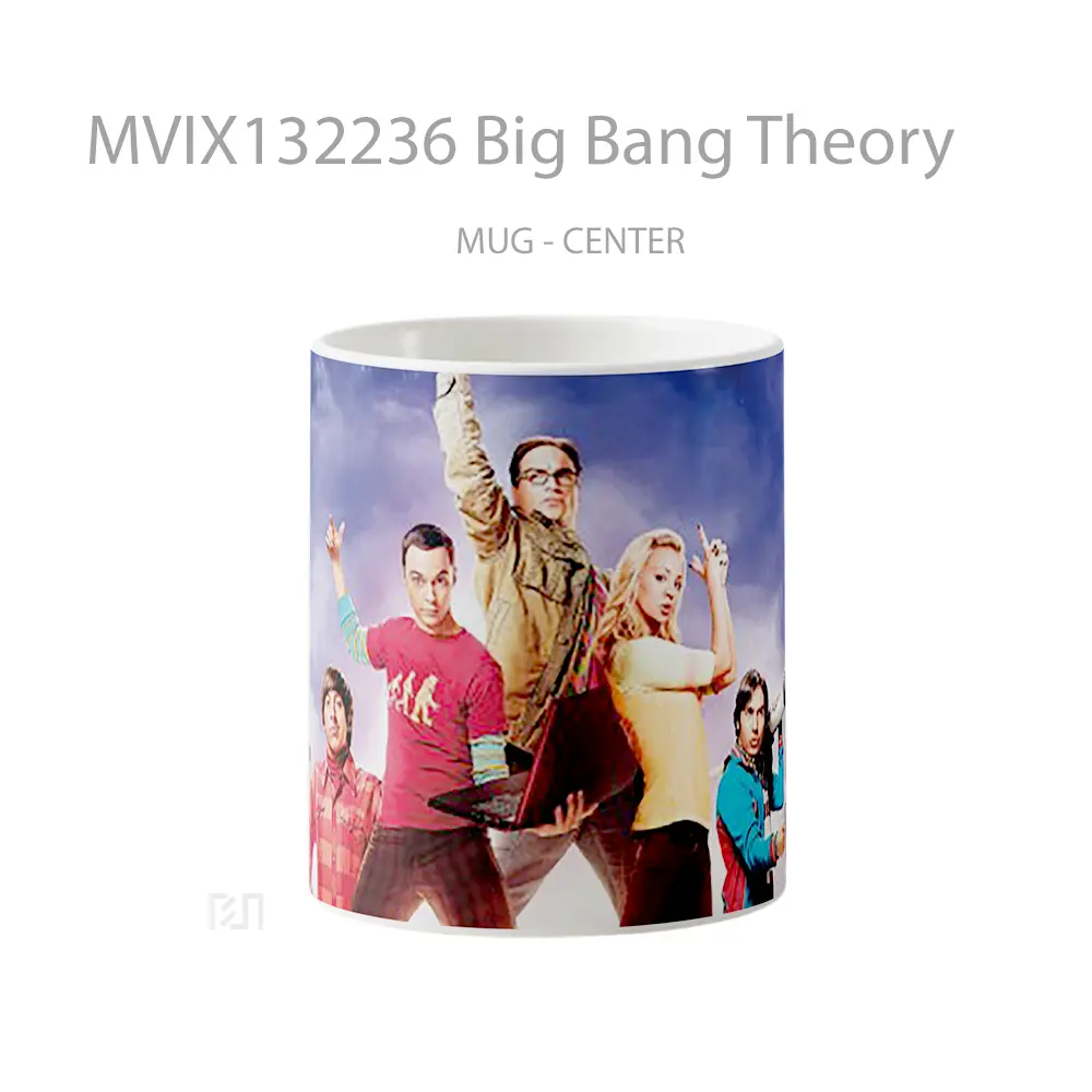Mug Big Bang Theory Gelas Keramik Unik