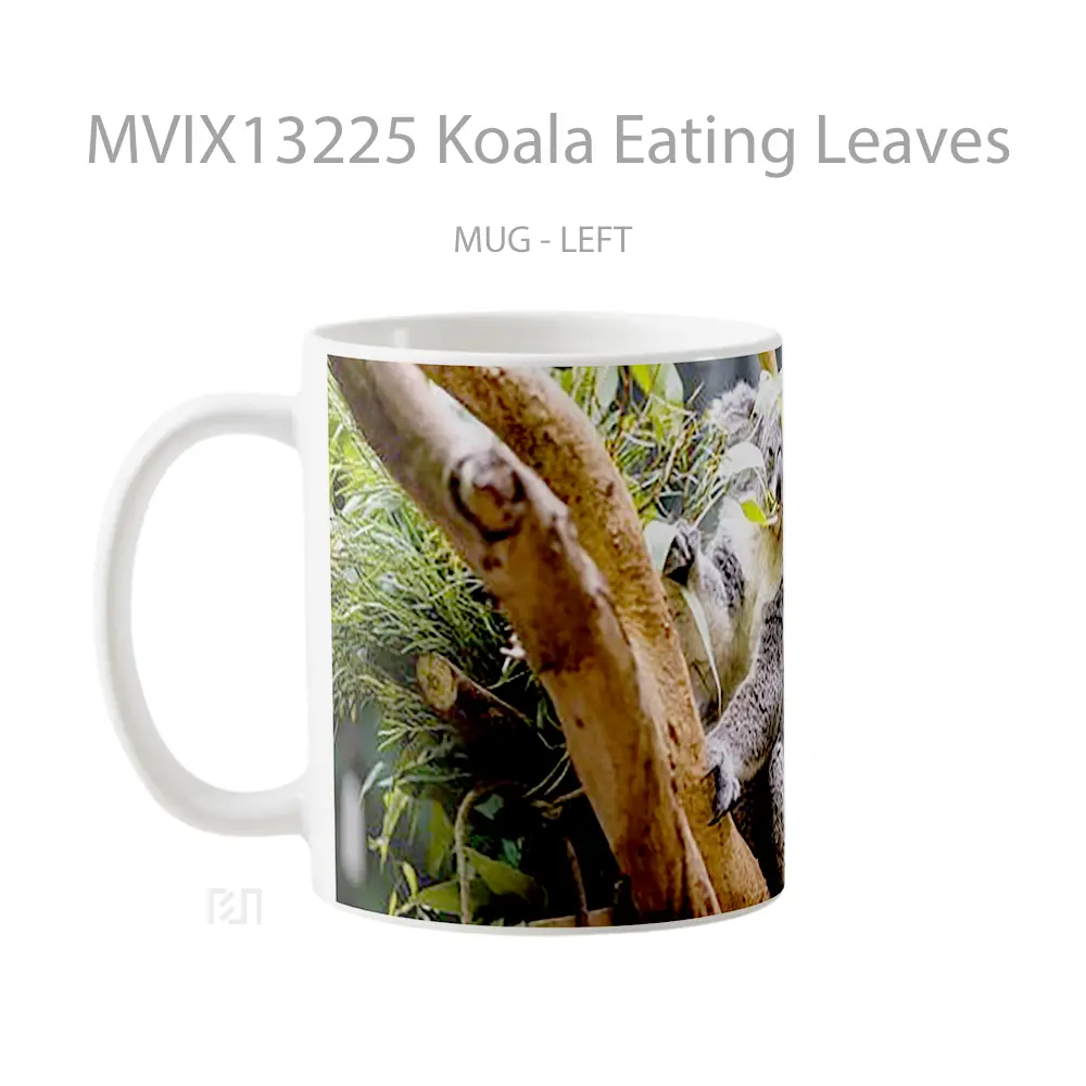 Mug Koala Eating Leaves Gelas Hewan Lucu - All-side / Desain