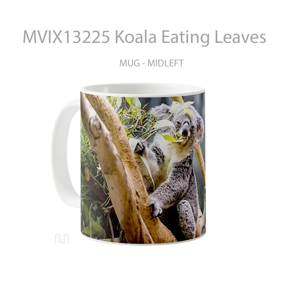 Mug Koala Eating Leaves Gelas Hewan Lucu - All-side / Desain