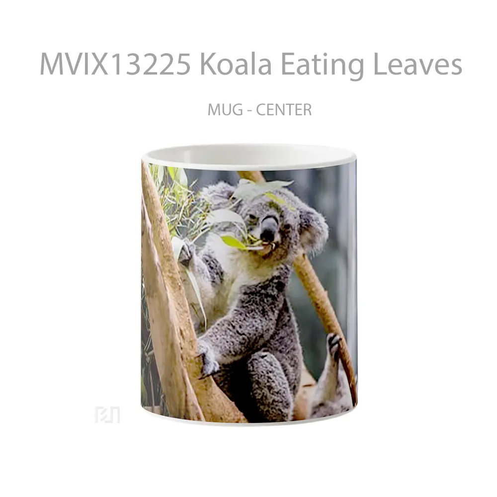 Mug Koala Eating Leaves Gelas Hewan Lucu