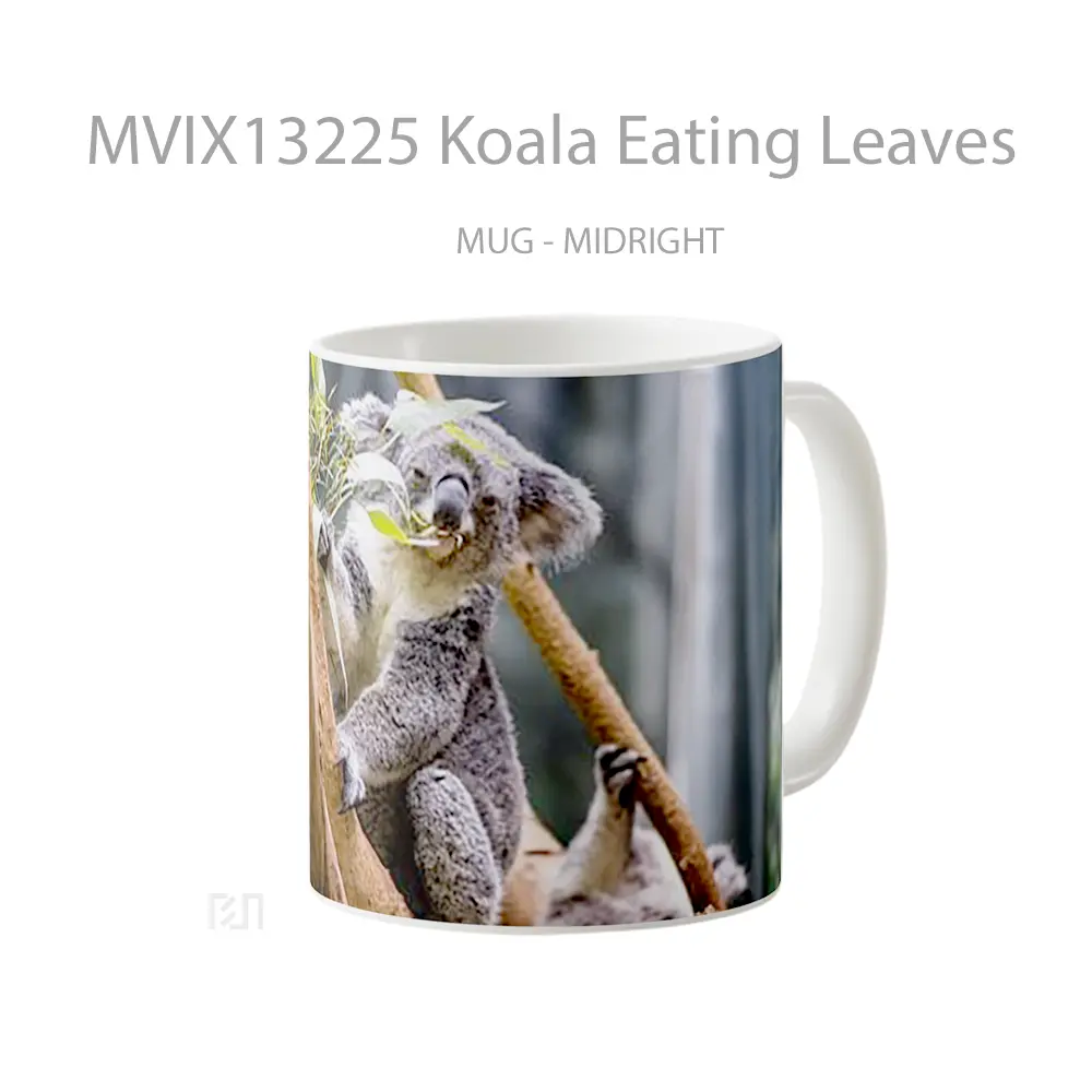 Mug Koala Eating Leaves Gelas Hewan Lucu - All-side / Desain