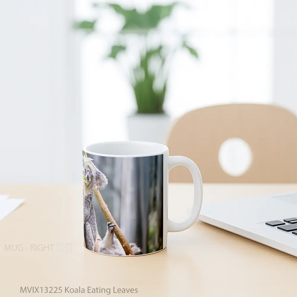Mug Koala Eating Leaves Gelas Hewan Lucu - All-side / Desain