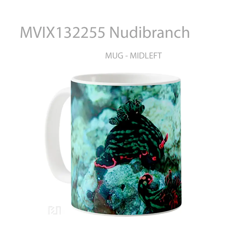 Mug Nudibranch Gelas Keramik Unik - All-side / Desain