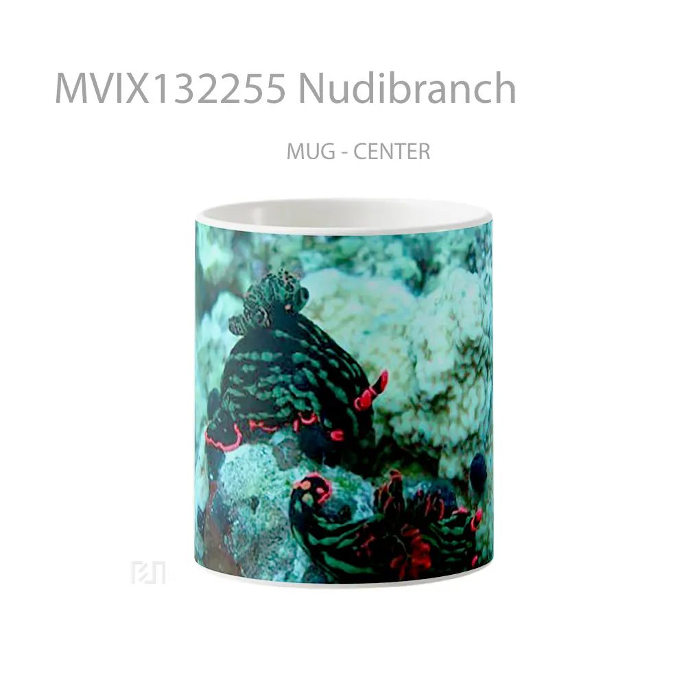 Mug Nudibranch Gelas Keramik Unik