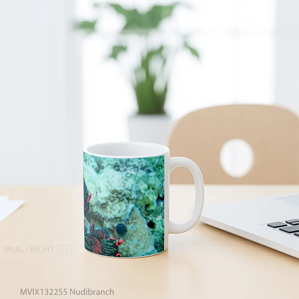Mug Nudibranch Gelas Keramik Unik - All-side / Desain