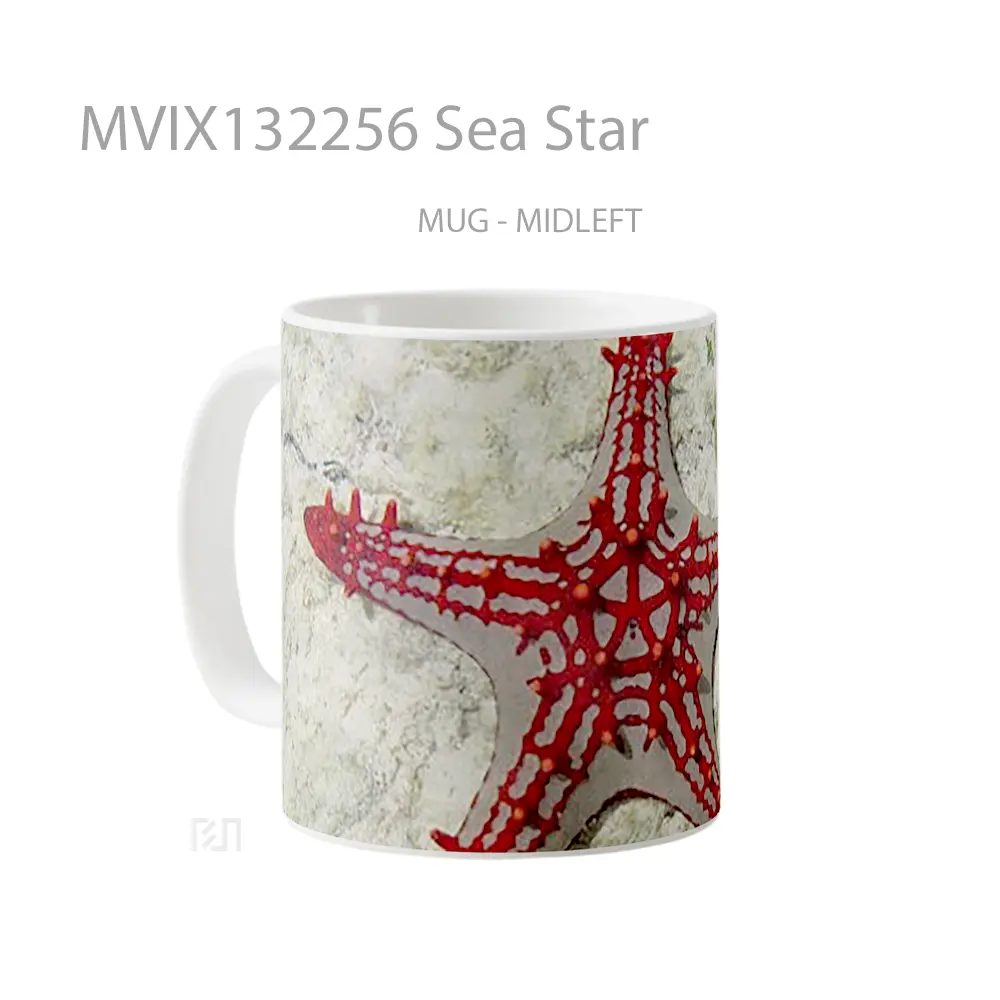 Mug Sea Star Gelas Pemandangan Alam - All-side / Desain