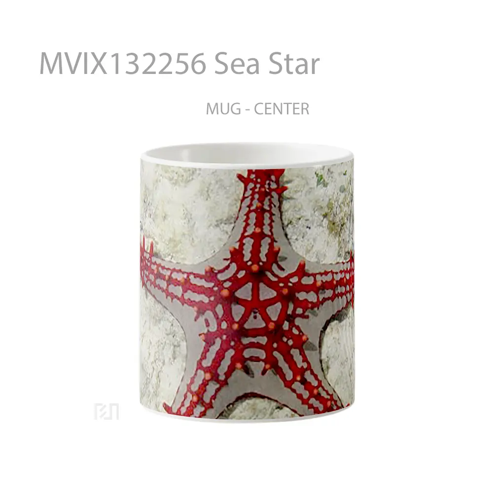 Mug Sea Star Gelas Pemandangan Alam