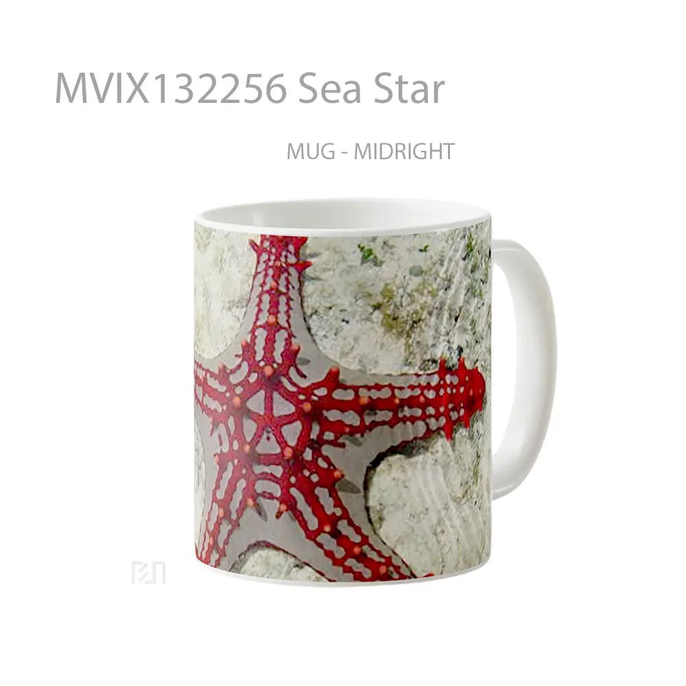 Mug Sea Star Gelas Pemandangan Alam - All-side / Desain