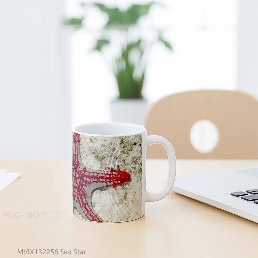 Mug Sea Star Gelas Pemandangan Alam - All-side / Desain