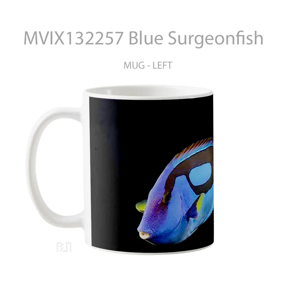 Mug Blue Surgeonfish Gelas Keramik Unik - All-side / Desain