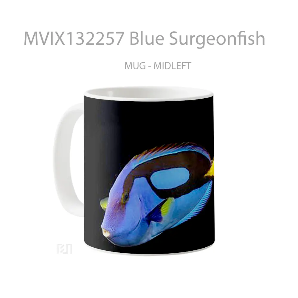 Mug Blue Surgeonfish Gelas Keramik Unik - All-side / Desain