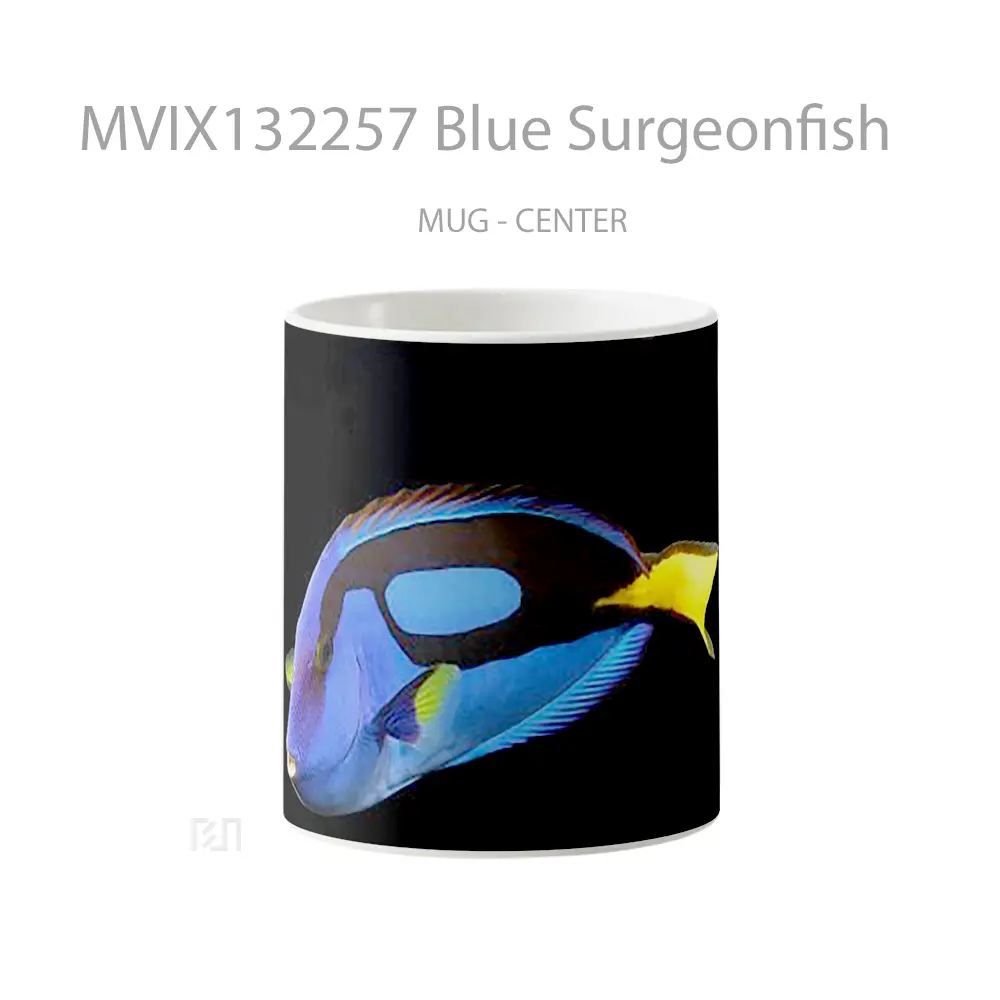Mug Blue Surgeonfish Gelas Keramik Unik