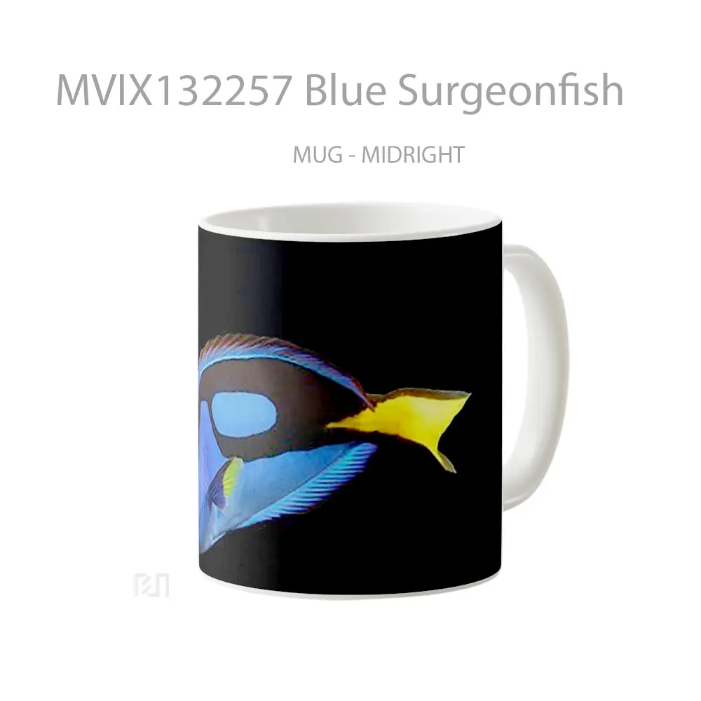 Mug Blue Surgeonfish Gelas Keramik Unik - All-side / Desain