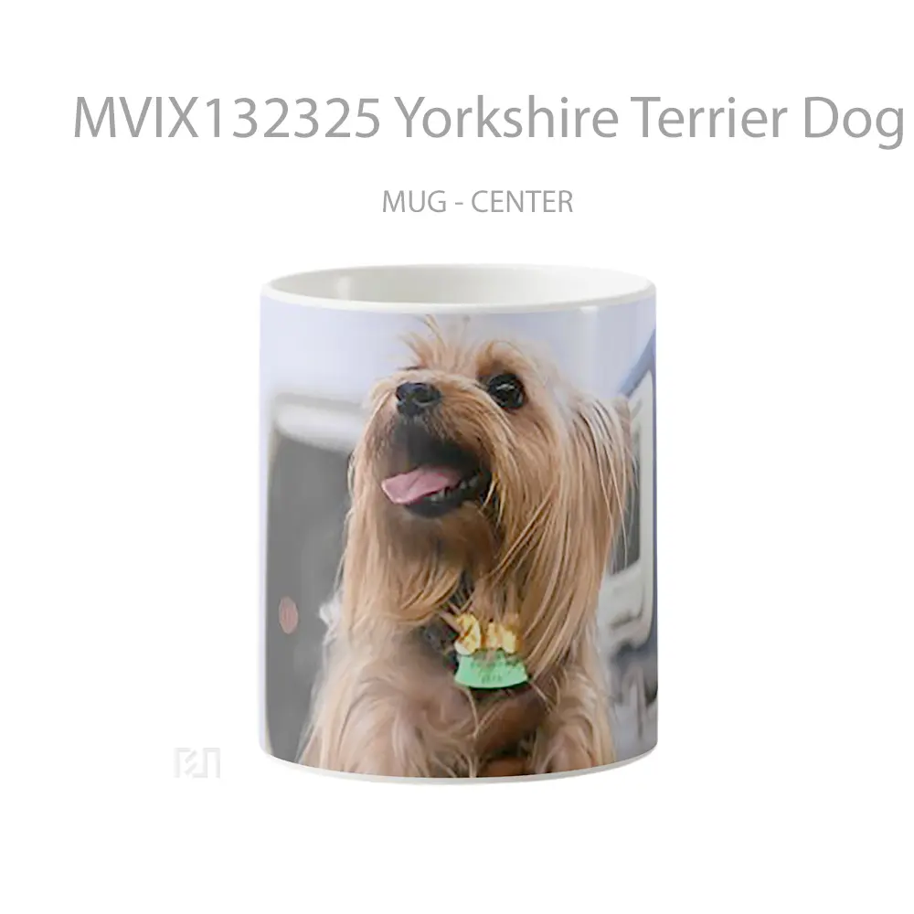 Mug Yorkshire Terrier Dog Gelas Hewan Lucu