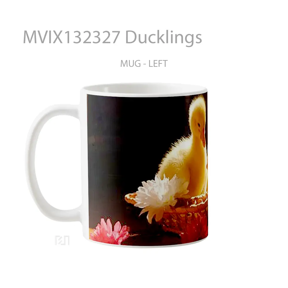 Mug Ducklings Gelas Keramik Unik - All-side / Desain