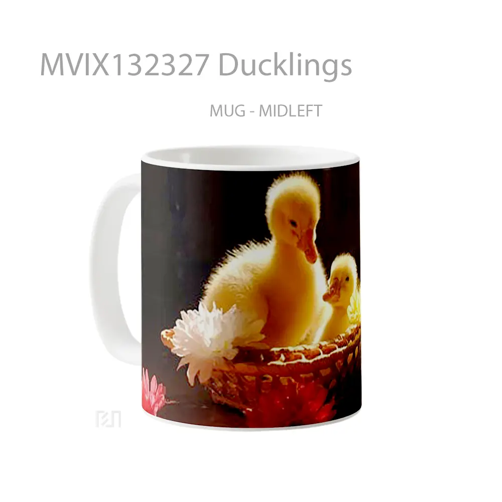 Mug Ducklings Gelas Keramik Unik - All-side / Desain