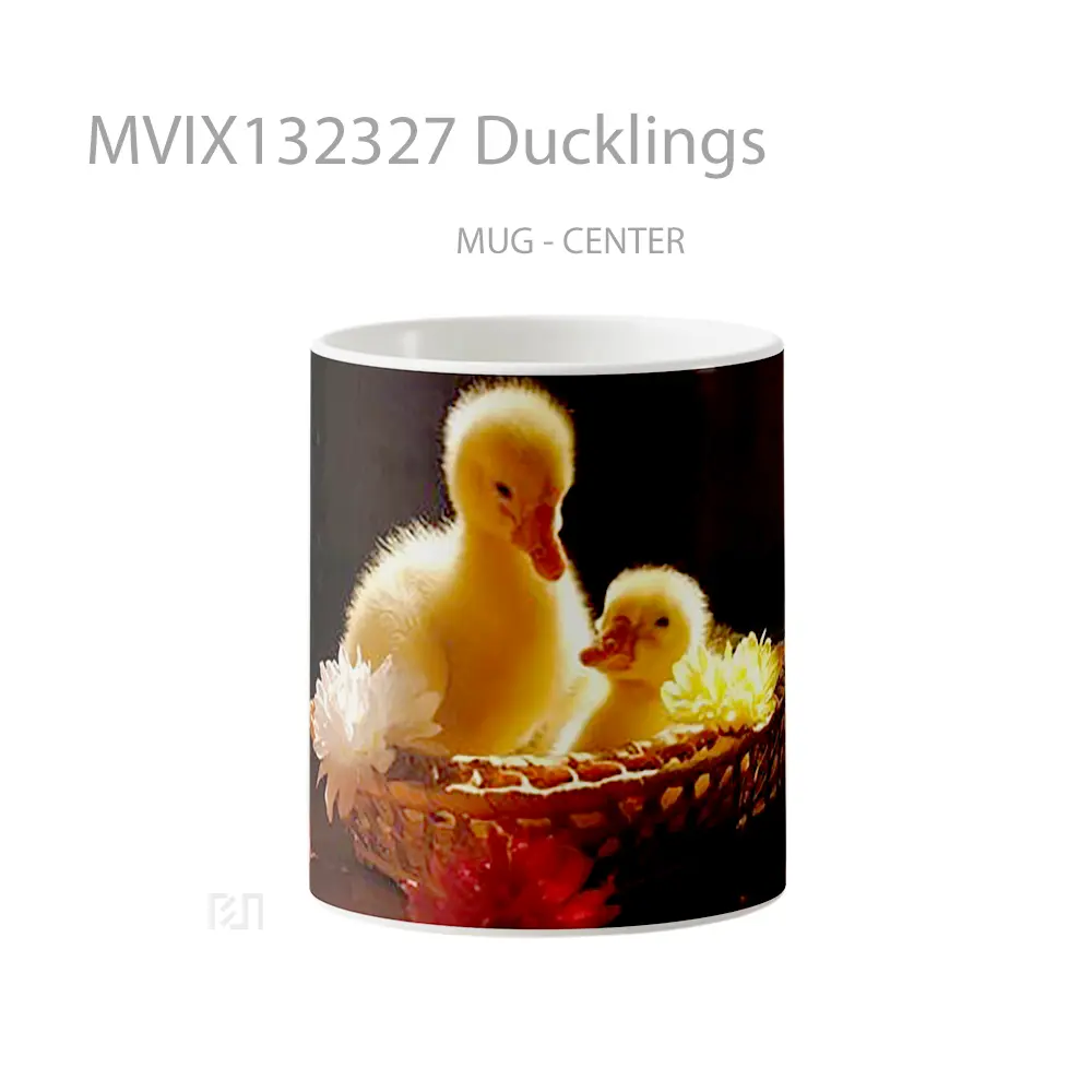 Mug Ducklings Gelas Keramik Unik