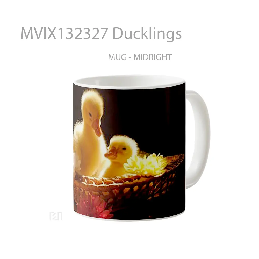 Mug Ducklings Gelas Keramik Unik - All-side / Desain